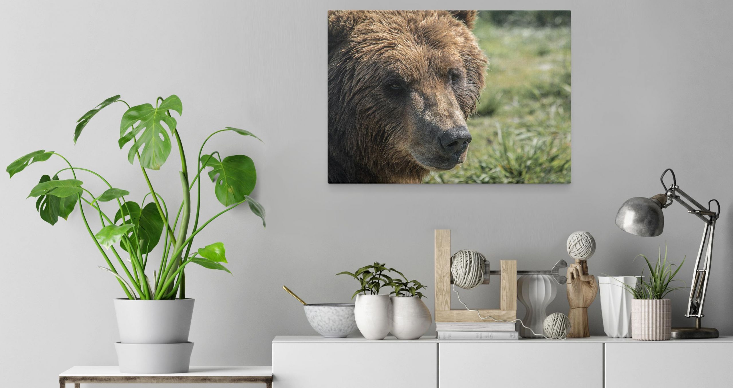 Wildlife and Travel Photography Canvas Prints Home Image