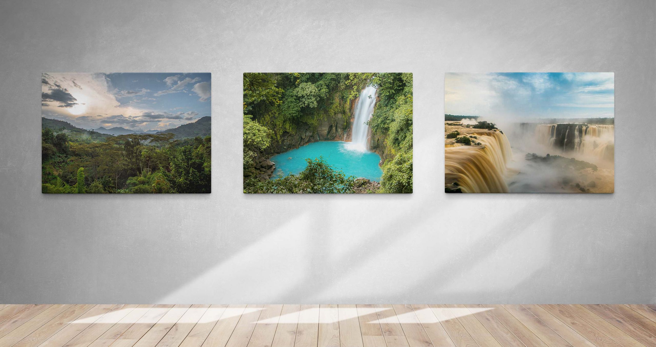Wildlife and Travel Photography Canvas Prints Home Image