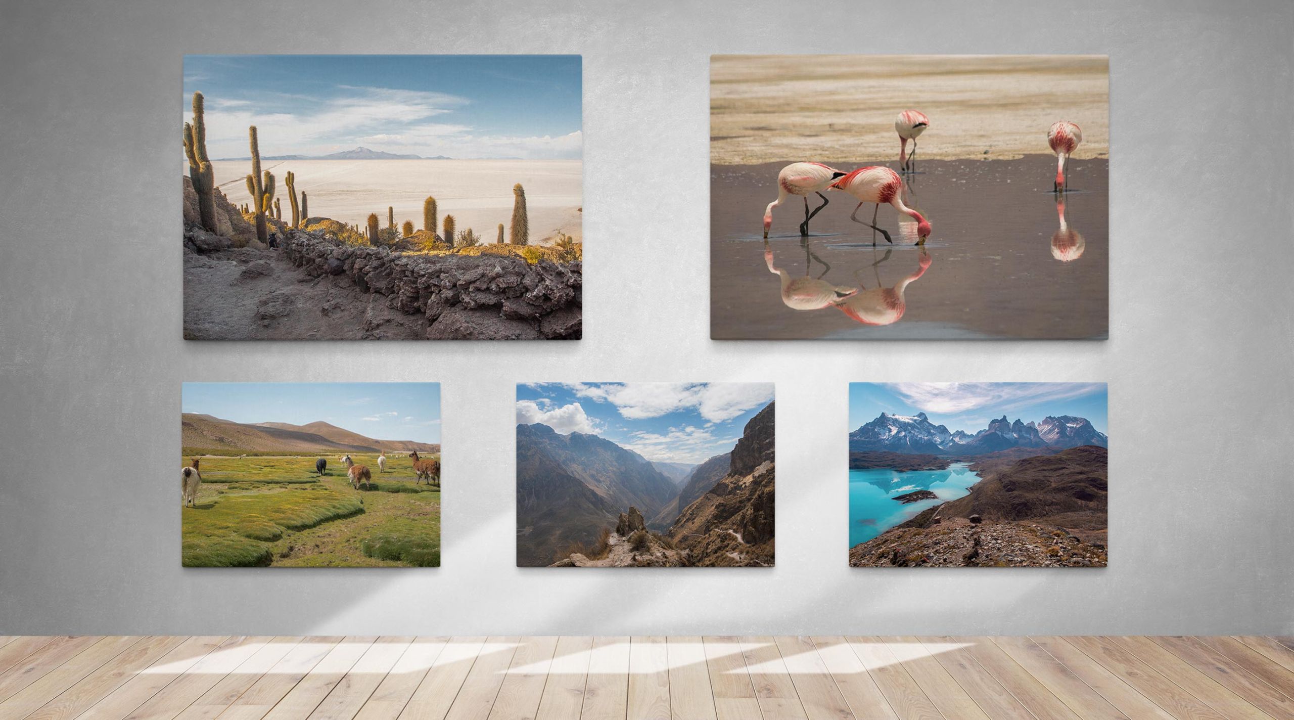 Matt_Senior_Photography_Top_Image_Large-6 Wildlife and Travel Photography Canvas Prints Montage