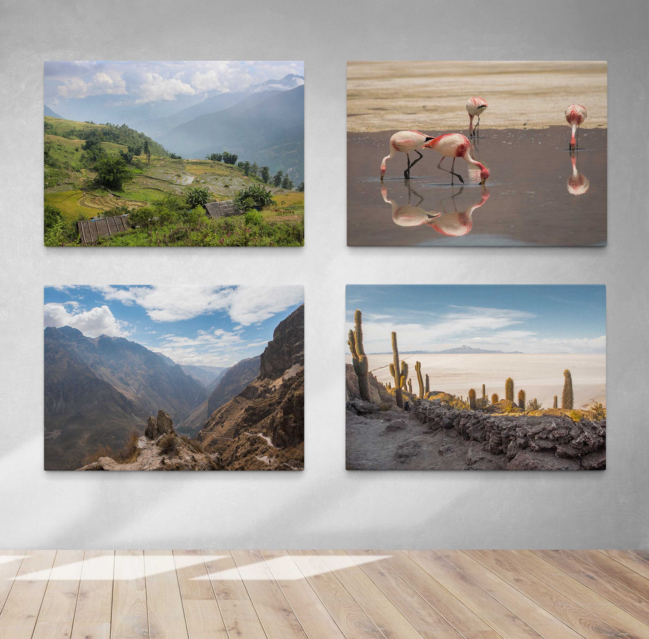 Matt_Senior_Photography_Top_Image_Small-6 Wildlife and Travel Photography Canvas Prints Montage